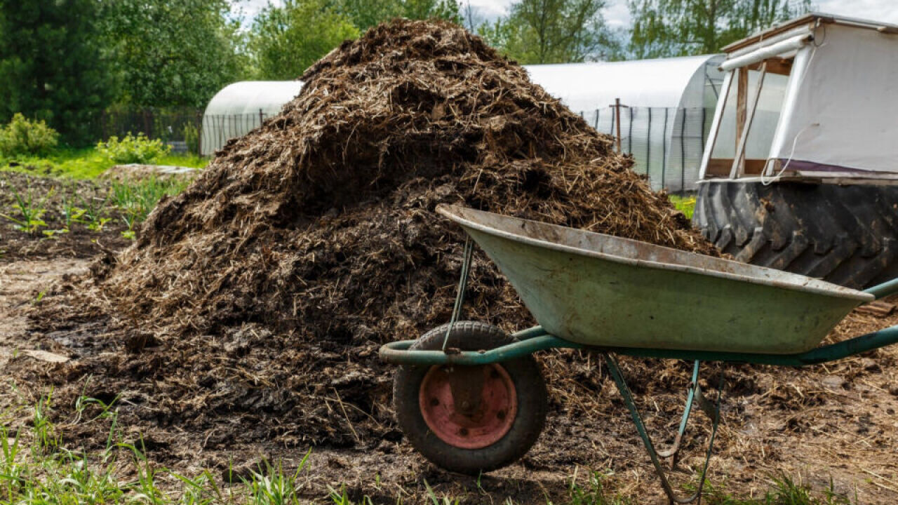 Rozrzutnik obornika jako efektywny sposób na gospodarowanie odpadami rolniczymi